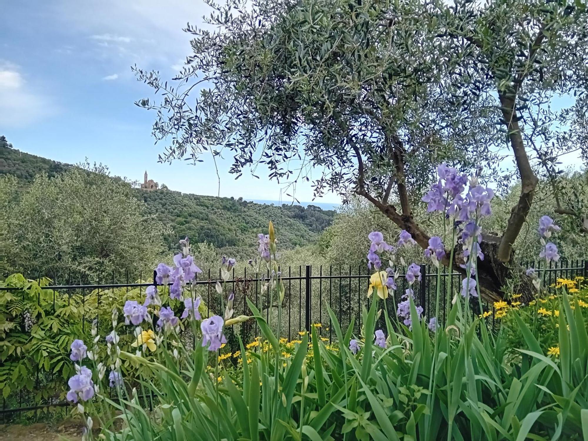 Le Casasse Appartement Imperia Buitenkant foto